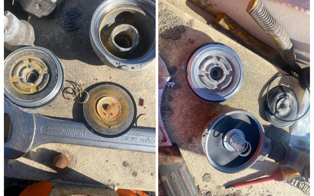 diaphragm replacements